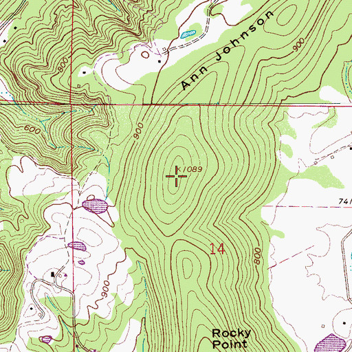 Topographic Map of Ann Johnson Mountain, AL
