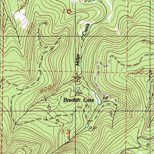 Topographic Map of Bradish Lake, OR