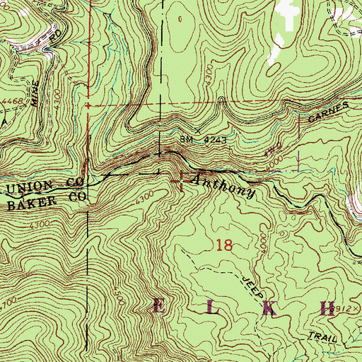Topographic Map of Anthony Gorge, OR