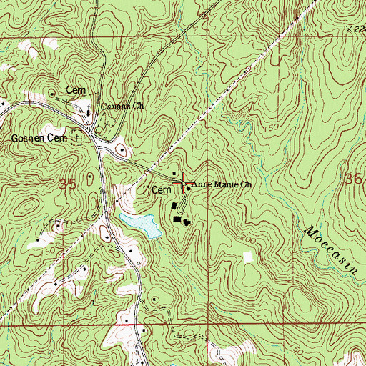 Topographic Map of Anne Manie Church, AL