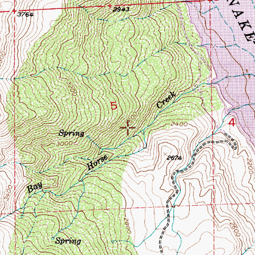 Topographic Map of Billy Gulch, OR