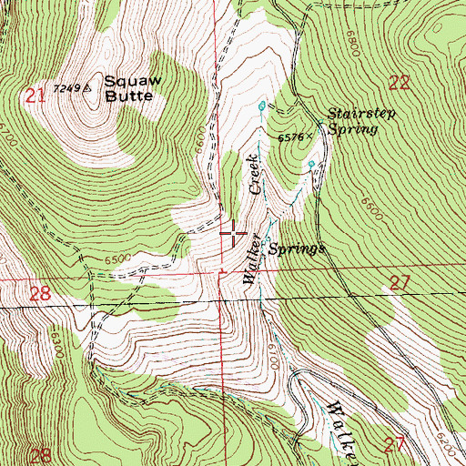 Topographic Map of Woodchopper Spring, OR