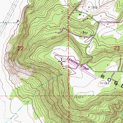Topographic Map of The Green Trees Ranch Airport, OR