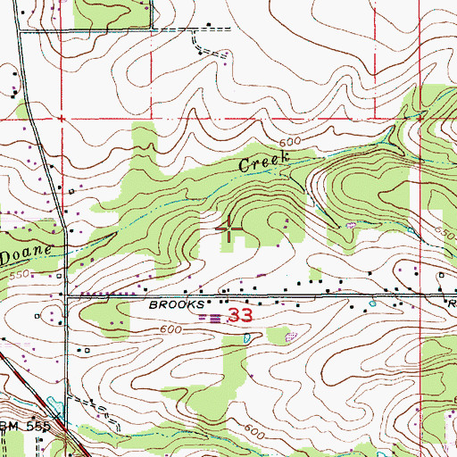Topographic Map of Flying K Bar J Ranch Airport, OR