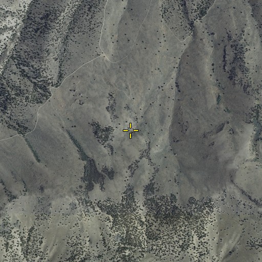 Aerial/Satellite Image of Muir Spring, OR