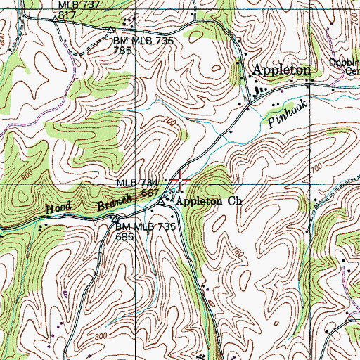 Topographic Map of Appleton Branch, AL