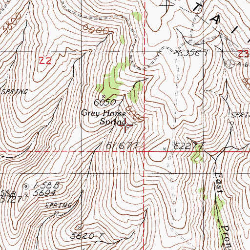 Topographic Map of Grey Horse Spring, OR