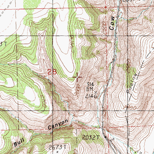 Topographic Map of Cow Canyon Springs, OR