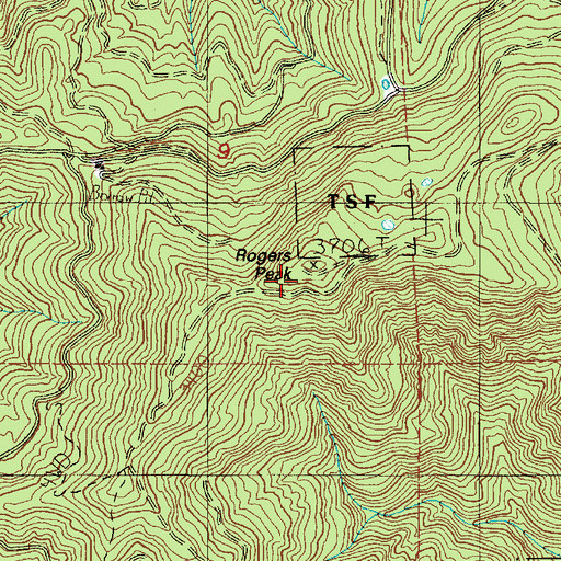 Topographic Map of Rogers Peak, OR