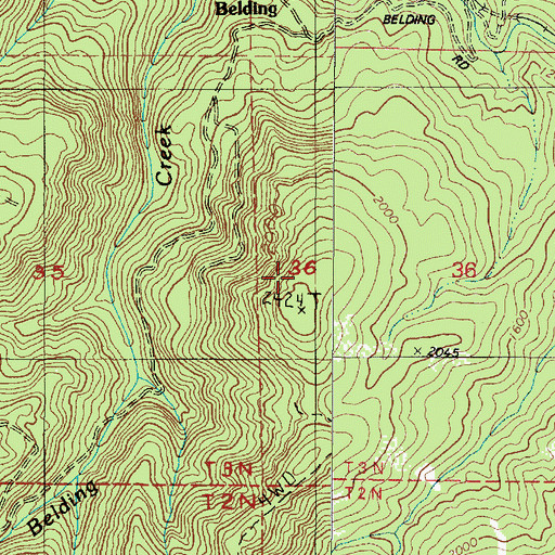 Topographic Map of Belding Point, OR