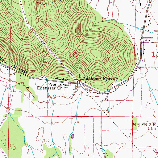 Topographic Map of Ashburn Spring, AL