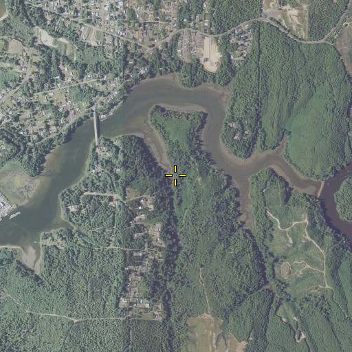 Aerial/Satellite Image of Storey Creek, OR