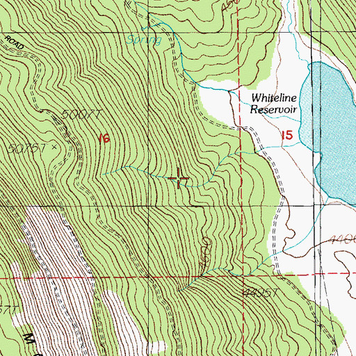Topographic Map of Whiteline Spring, OR
