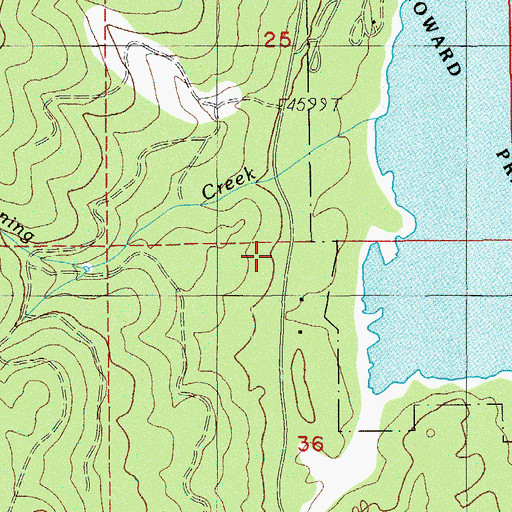 Topographic Map of Swinning Spring, OR
