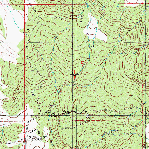 Topographic Map of Rushing Spring, OR
