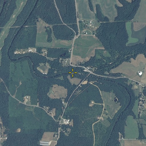 Aerial/Satellite Image of Austin Branch, AL