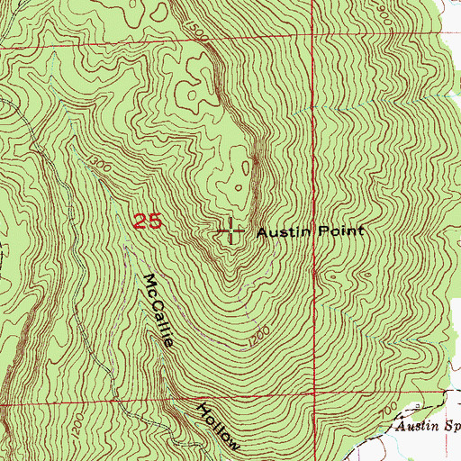 Topographic Map of Austin Point, AL