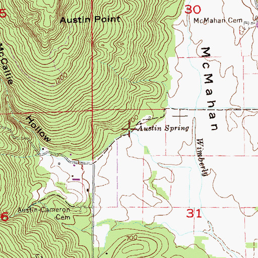 Topographic Map of Austin Spring, AL