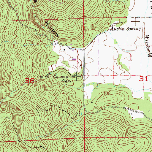 Topographic Map of Austin-Cameron Cemetery, AL