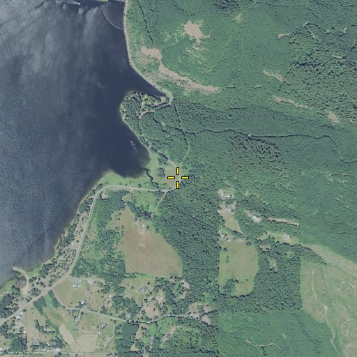 Aerial/Satellite Image of Youngs Creek, OR