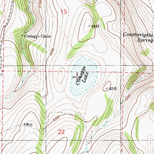 Topographic Map of Comegys Lake, OR