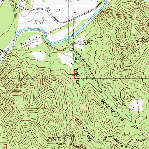 Topographic Map of Taylor Gulch, OR