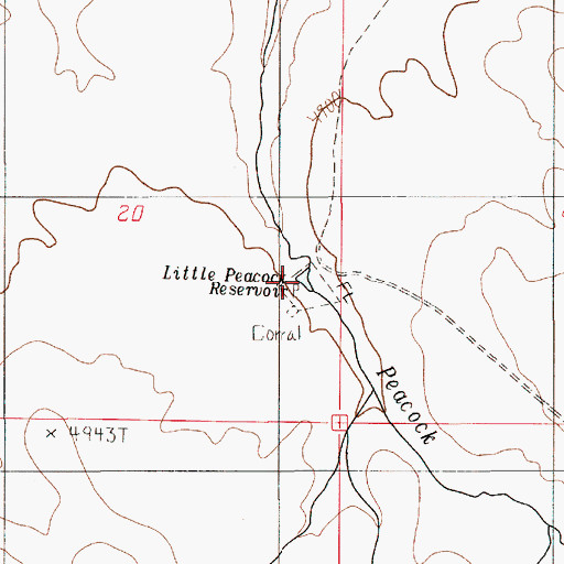 Topographic Map of Little Peacock Reservoir, OR