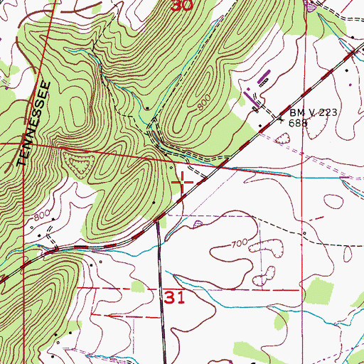Topographic Map of Back Hollow, AL