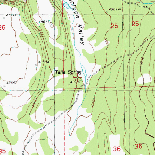 Topographic Map of Tillie Spring, OR