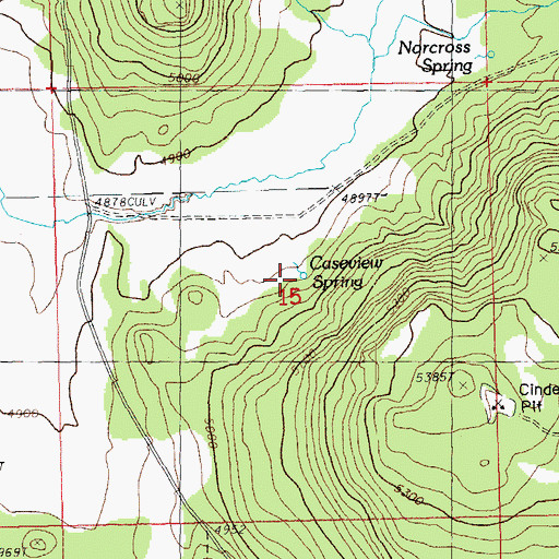 Topographic Map of Caseview Spring, OR