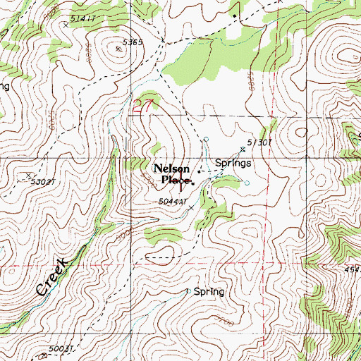 Topographic Map of Nelson Place, OR