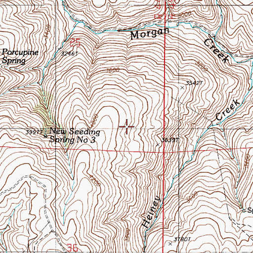 Topographic Map of Chaud Spring, OR