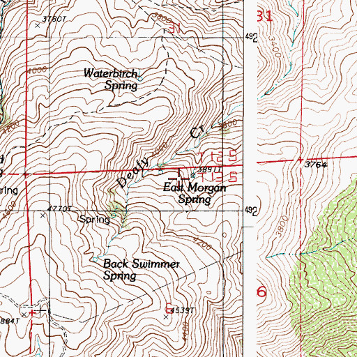 Topographic Map of East Morgan Spring, OR
