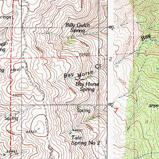 Topographic Map of Bay Horse Spring, OR