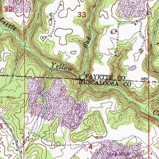 Topographic Map of Bad Branch, AL