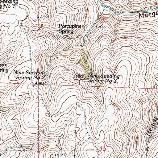 Topographic Map of New Seeding Spring Number Three, OR