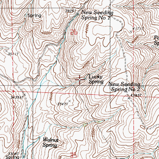 Topographic Map of Lucky Spring, OR