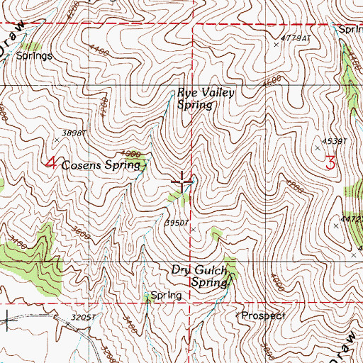 Topographic Map of Cosena Spring, OR