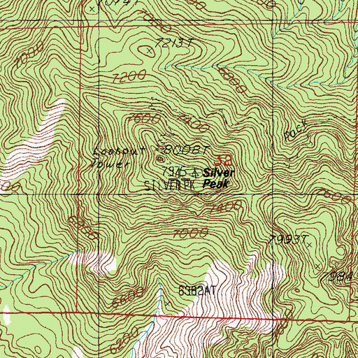 Topographic Map of Silver Peak, AZ
