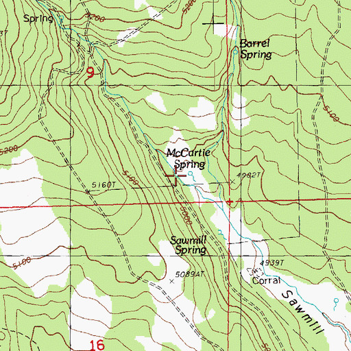 Topographic Map of McCartie Spring, OR