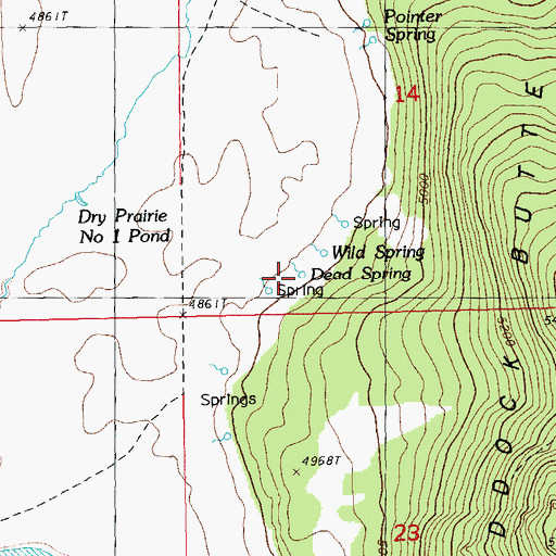 Topographic Map of Dead Spring, OR