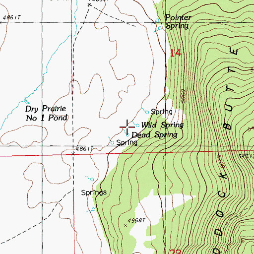 Topographic Map of Wild Spring, OR