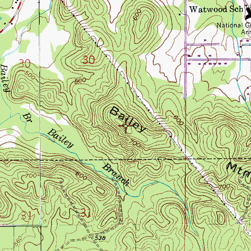 Topographic Map of Bailey Mountain, AL