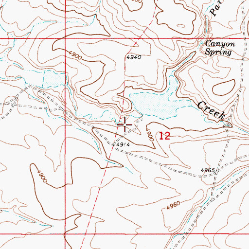 Topographic Map of Parsnip Dam, OR
