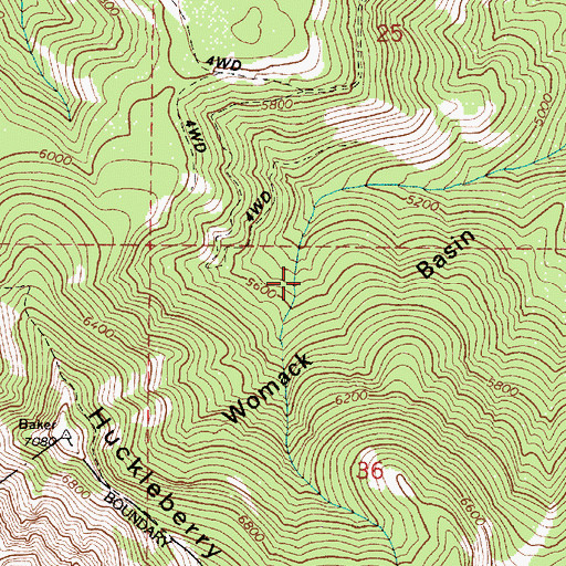 Topographic Map of Womack Basin, OR
