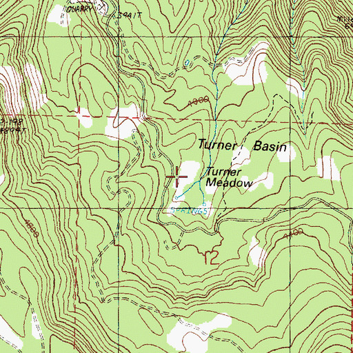 Topographic Map of Turner Meadow, OR