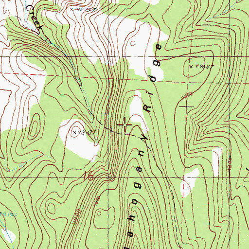 Topographic Map of Mahogany Ridge, OR