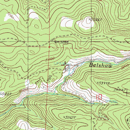 Topographic Map of Belsham Spring, OR