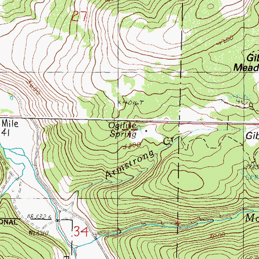 Topographic Map of Ogilvie Spring, OR