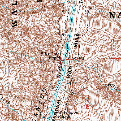 Topographic Map of Bills Creek Rapids, ID